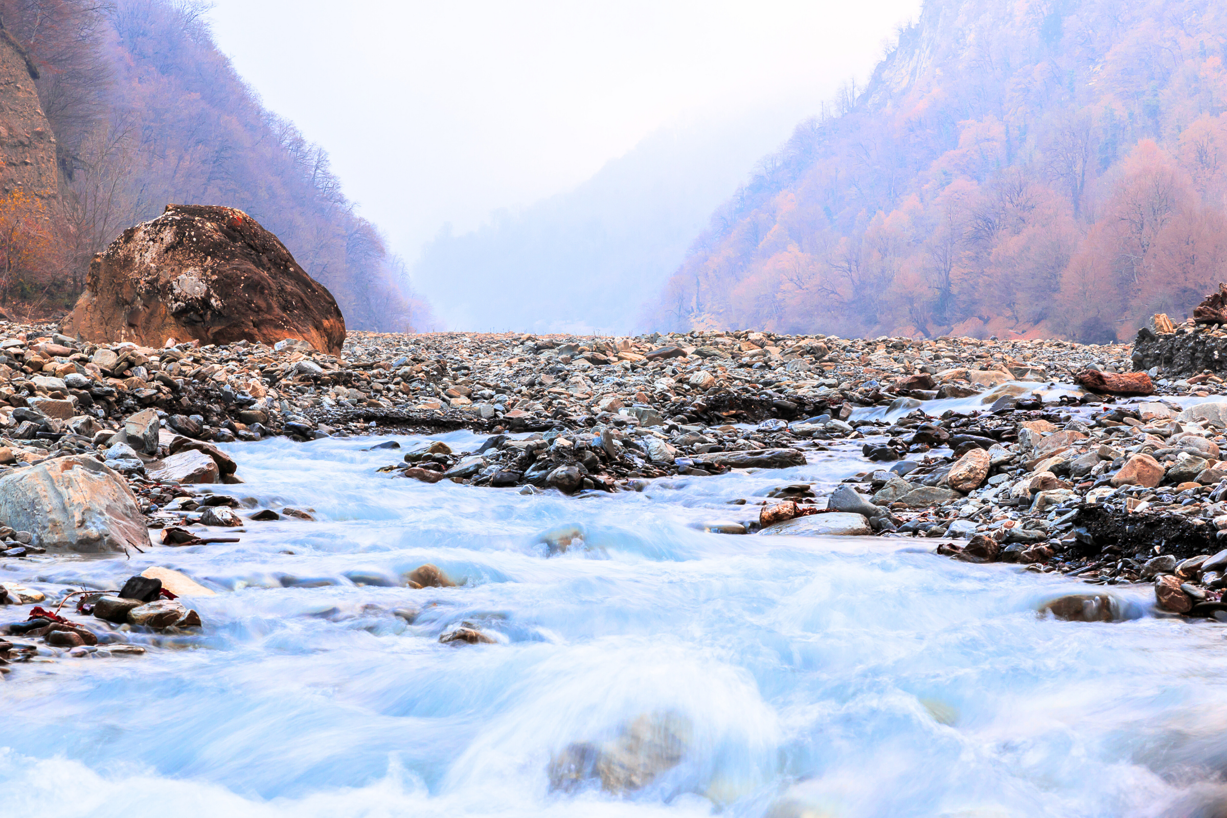 gabala (4).webp